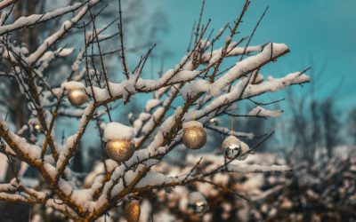 Öffnungszeiten über die Feiertage