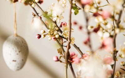 Öffnungszeiten Ostern 2022